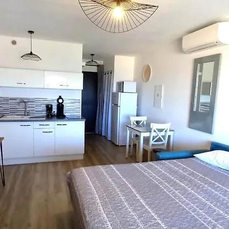 Standing Classé Meublé De Tourisme Avec Terrasse Vue  Les Pieds Dans L'eau  à