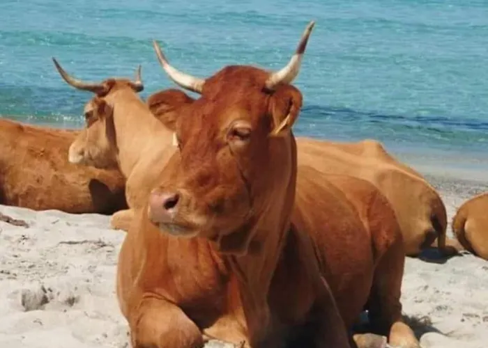 Standing Classe Meuble De Tourisme Avec Terrasse Vue 